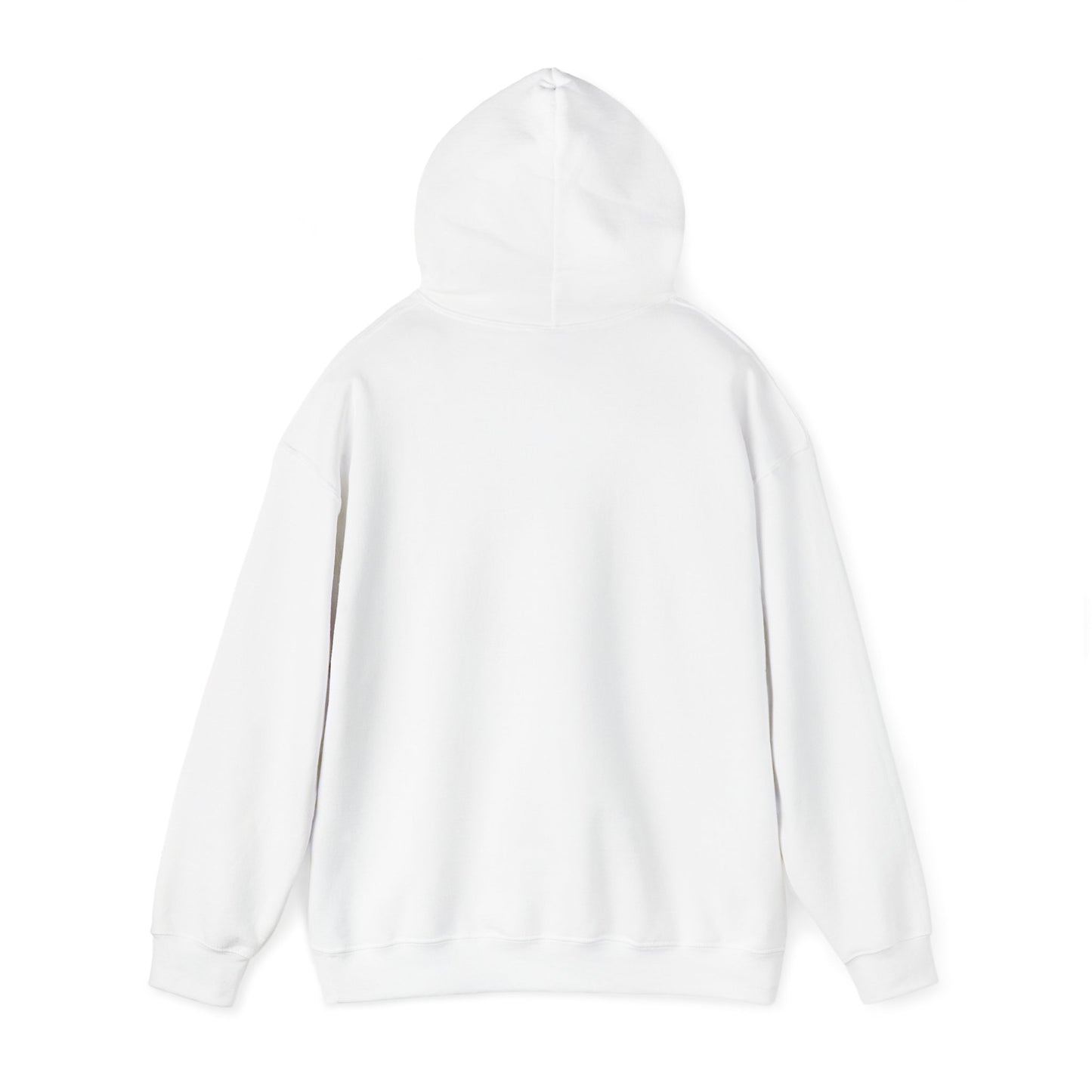 Coast Hoodie