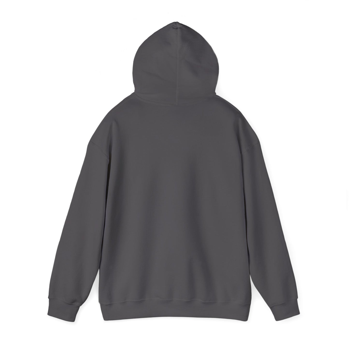 Artic Hoodie